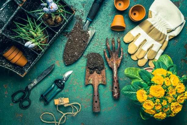 CONFÉRENCE : Jardinage en pots - Fleurs et fines herbes
