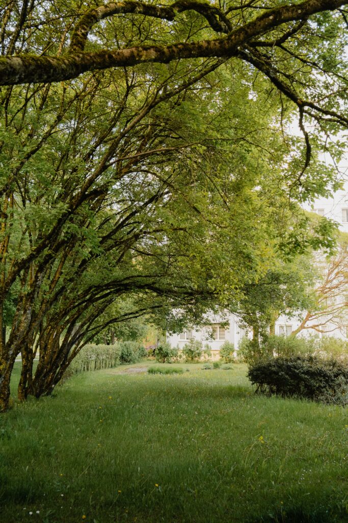 CAFÉ RENCONTRE : La maison sous les arbres